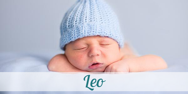 Namensbild von Leo auf vorname.com