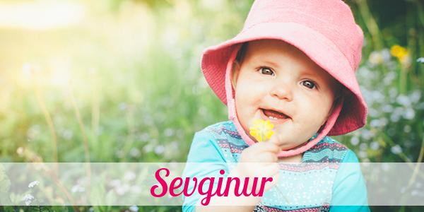 Namensbild von Sevginur auf vorname.com